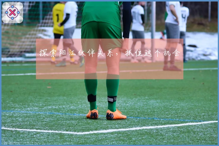 探索阳江伙伴关系，抓住这个机会