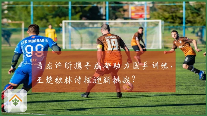 马龙许昕携手成都助力国乒训练，王楚钦林诗栋迎新挑战？